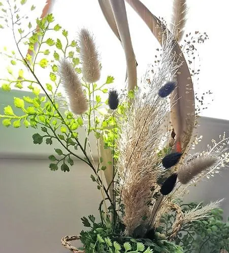 L'essentiel - 85 Hébergement de vacances Talmont-Saint-Hilaire