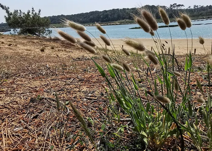 L'essentiel - 85 Talmont-Saint-Hilaire