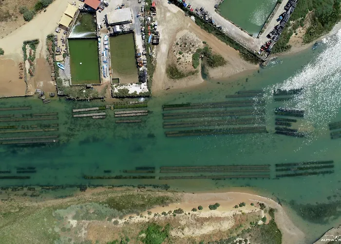 Hébergement de vacances L'essentiel - 85 *