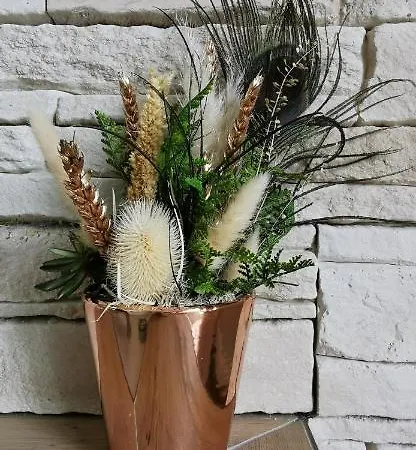 بيت للعطل L'essentiel - 5 Etoiles Talmont-Saint-Hilaire