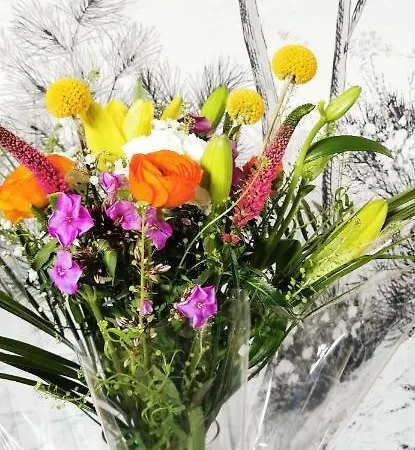 L'essentiel - 5 Etoiles *