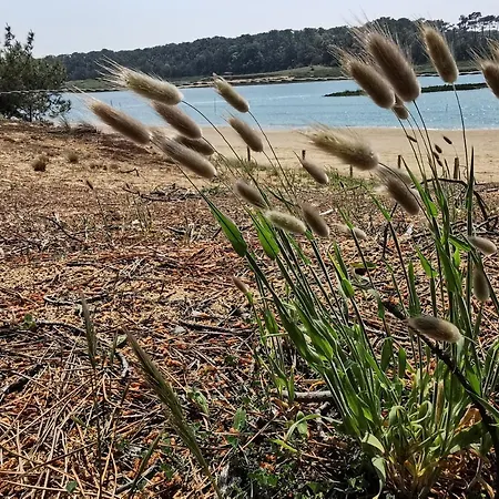 L'essentiel - 5 Etoiles Talmont-Saint-Hilaire