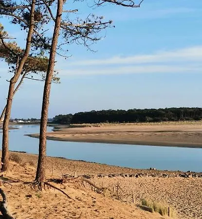 L'essentiel - 5 Etoiles * Talmont-Saint-Hilaire