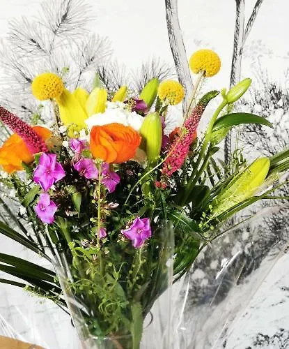 L'essentiel - 5 Etoiles *