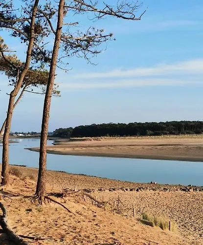 L'essentiel - 5 Etoiles * Talmont-Saint-Hilaire