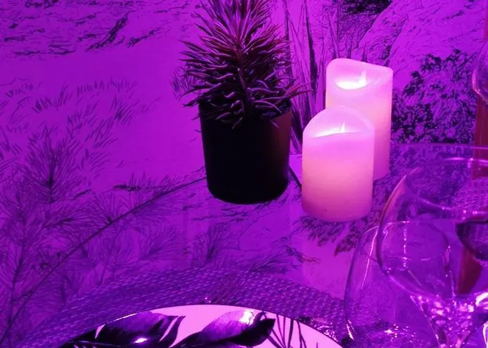 L'essentiel - 5 Etoiles